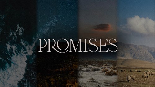 Promises - Noah